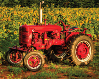 Red Tractor Springbok Puzzle- 1000pc