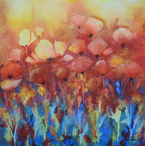 A Passion For Poppies